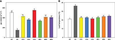 Foliar cytokinins or brassinosteroids applications influence the rice plant acclimatization to combined heat stress